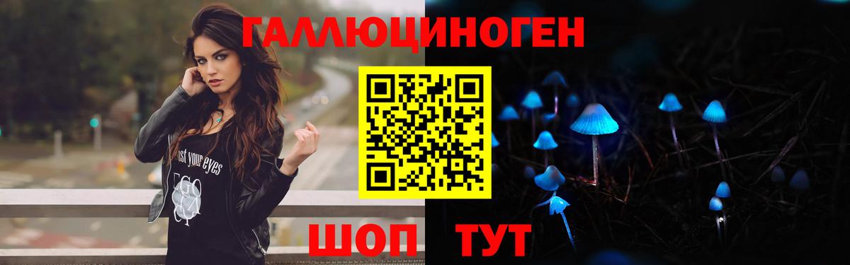 Галлюциногенные грибы GOLDEN TEACHER  Галлюциногенные грибы Magic Shrooms  Вход с VPN  Кудымкар 